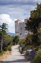 Image showing Castle