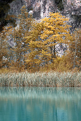 Image showing Green lake