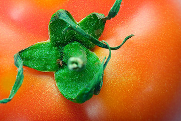 Image showing Tomato background