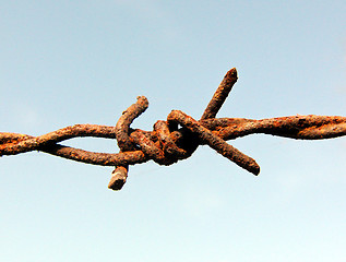 Image showing Rusty barbed wire