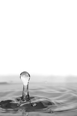 Image showing Clear Water Droplet Splash