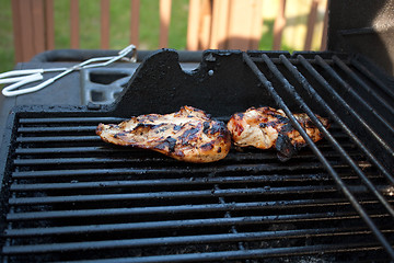 Image showing Grilled Chicken Breasts