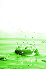 Image showing Green Water Splash