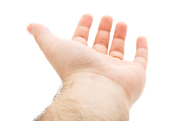 Image showing Empty Hand Isolated