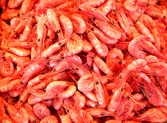 Image showing Shrimps