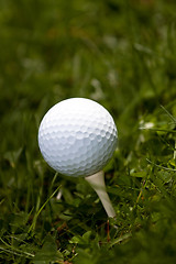 Image showing Golf Ball and Tee