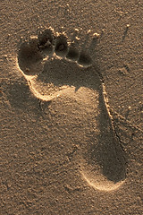 Image showing Foot Print in the Sand