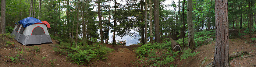 Image showing Forest Tent Camping 