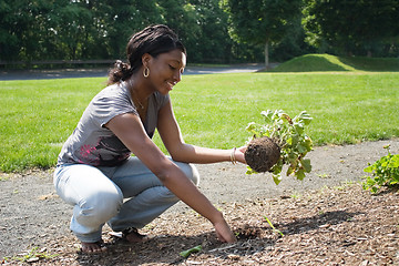 Image showing Woman Planting Flowers