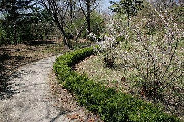 Image showing Garden