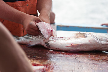 Image showing Cleaning a Fish