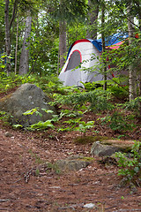 Image showing Forest Tent Camping 