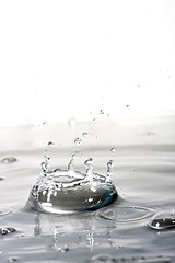 Image showing Clear Water Splash