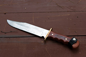 Image showing Large Bowie Knife