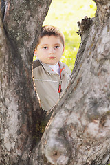 Image showing Serious boy behind tree