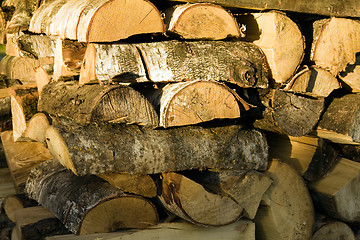 Image showing Logs