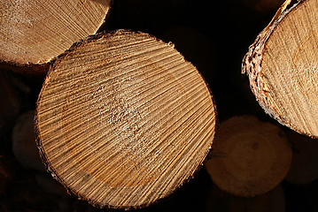 Image showing Pine Logs Stacked Macro