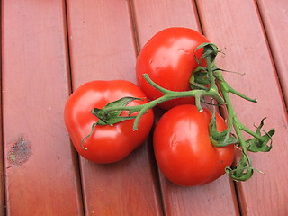 Image showing A ripe bunch