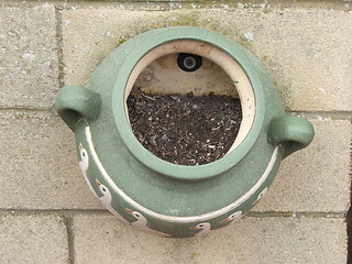 Image showing Pot