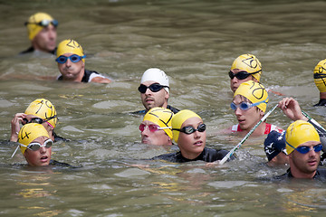 Image showing swimmers