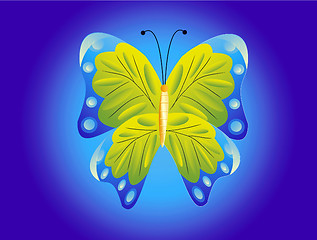 Image showing Drawing of the butterfly