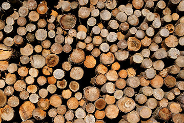 Image showing Firewood Background