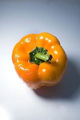 Image showing Isolated Orange Pepper