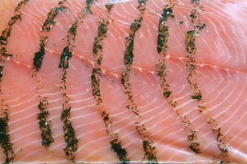 Image showing Salmon