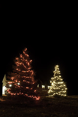 Image showing christmas trees