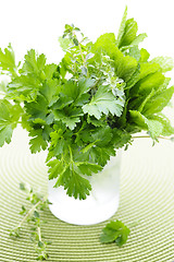 Image showing Fresh herbs in a glass