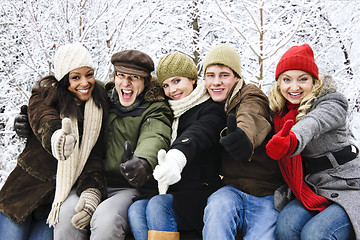 Image showing Group of friends outside in winter