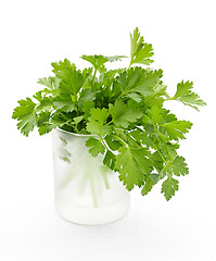 Image showing Fresh parsley on white background