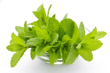 Image showing Mint sprigs in bowl