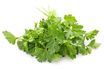 Image showing Fresh parsley on white background