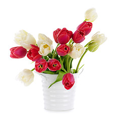 Image showing Red and white tulips