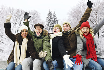 Image showing Group of happy friends outside in winter