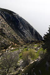 Image showing Mountainside Garden