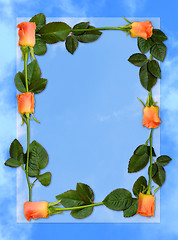 Image showing Rose frame 5a