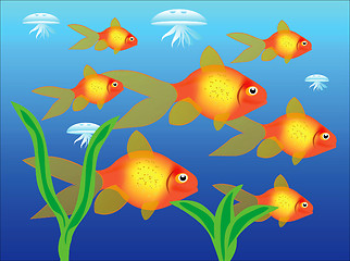 Image showing Tropical beautiful fishes in water