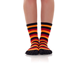 Image showing woman legs in zebrine socks