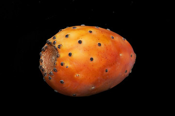 Image showing Cactus fruit