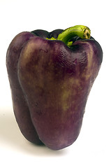 Image showing purple bell pepper