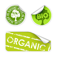 Image showing Set of labels with stamps for organic