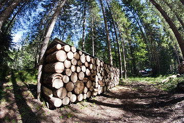 Image showing Lumber, Dolomites