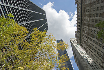 Image showing Buildings of New York City