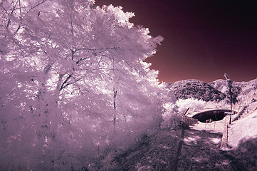 Image showing Infrared Picture of a Agriturismo in Tuscany