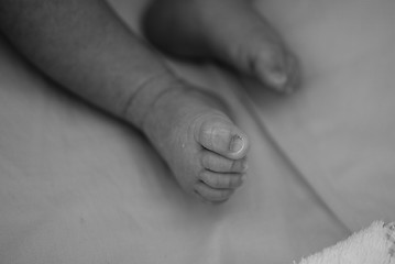 Image showing Newborn Feet