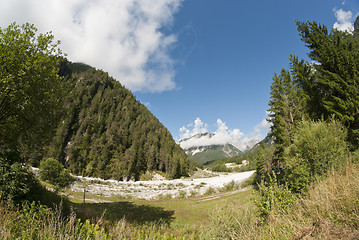 Image showing Dolomites Woods, Italy