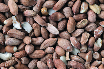 Image showing Peanuts