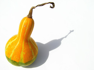 Image showing orange and green pumpkin